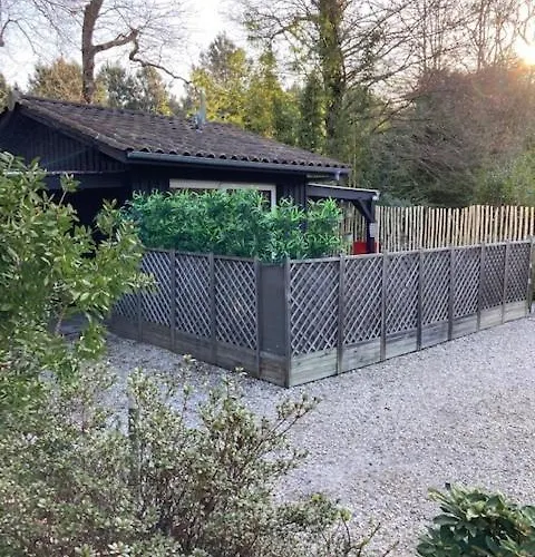 Bed & Breakfast D'hote Maison De L'amitie 3*