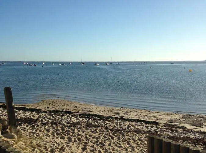 D'hote Maison De L'amitie 3* Lanton