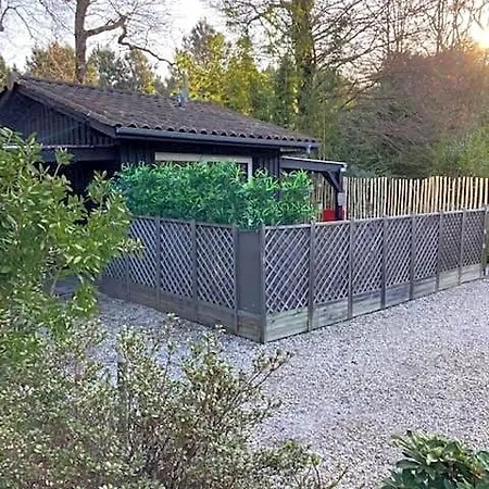 D'hote Maison De L'amitie Bed & Breakfast